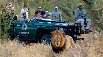 Dag 14: Kapama Privaat Wildreservaat Hoedspruit - Johannesburg s Ochtends nog mogelijkheid voor een laatste jeep- of wandelsafari.