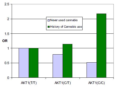 Cannabis & psychosen Risicofactoren voor psychotische stoornis