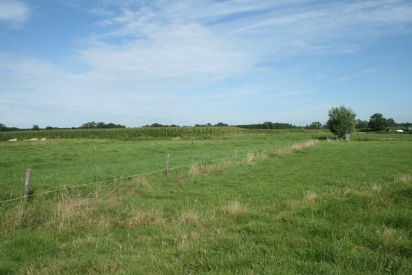 perceel ingericht met gras, een