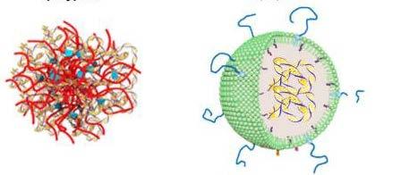Niet-virale vectoren Lipide of polimeer
