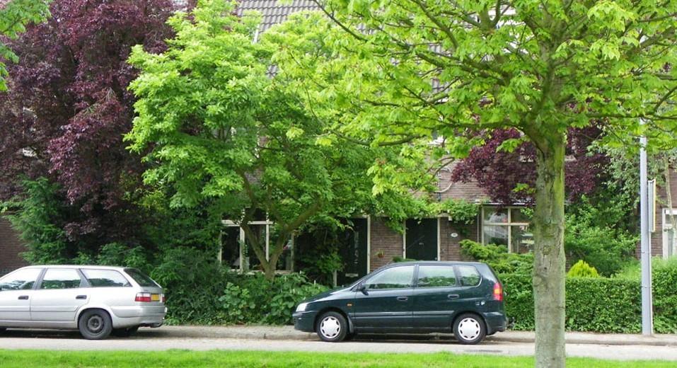 Eigenlijk moet je buiten beginnen. Snoeien voor meer licht in huis. Je staat er niet zo bij stil maar hoge bomen of andere begroeiing kunnen veel daglicht tegen houden.