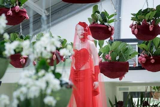 Orchideeënshow tot en met 13 mei Voor orchideeën wordt al jaren de duizend vierkante meter van het Beatrix Paviljoen ingericht. Deze show is de mooiste anthurium en orchideeënshow in Europa.