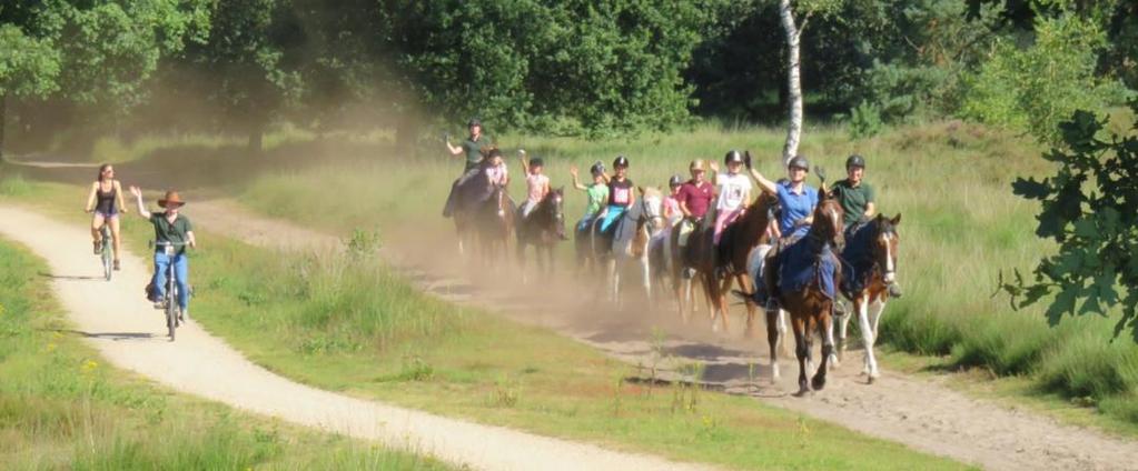 Ponykamp In 2016 zijn er twee geslaagde weken ponykamp georganiseerd op de Heesemans Hoeve in Boxtel. Dit jaar is er voor het eerst onderscheid gemaakt in niveau.