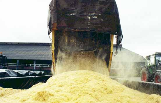 Corn cob mix (CCM) Bij CCM wordt de korrel met een deel van de spil geoogst. Het geoogste product wordt vervolgens gemalen en ingekuild.