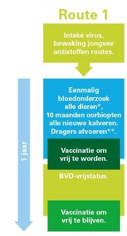 BVD Vrij intake virus 1 Bedrijven die reeds vrij zijn 2 a. Tankmelk onderzoek virus b. Bloedtappen alle dieren niet in tank c.