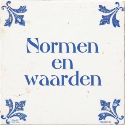 Normen en waarden helder krijgen Concretiseren: vragen een specifiek voorbeeld te geven Hardop denken: gedachten delen