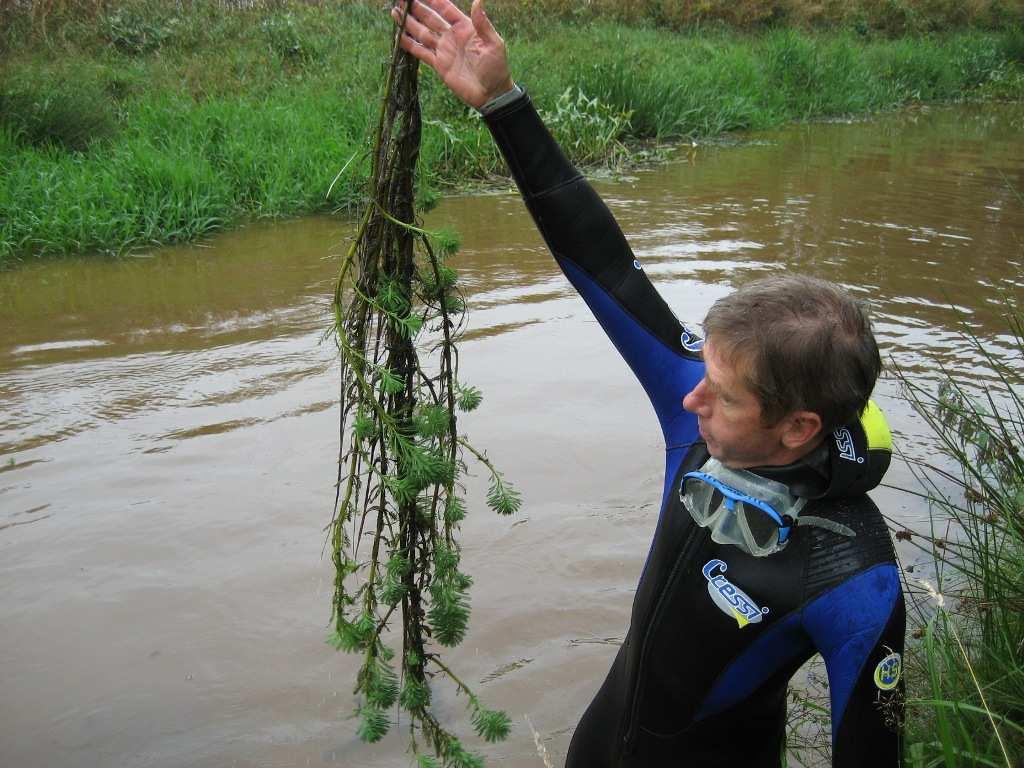 BEDREIGINGEN VOOR DE BIODIVERSITEIT EN DE GEZONDHEID VAN MENS EN DIER Nederland, vooral in Noord- en Zuid-Holland.