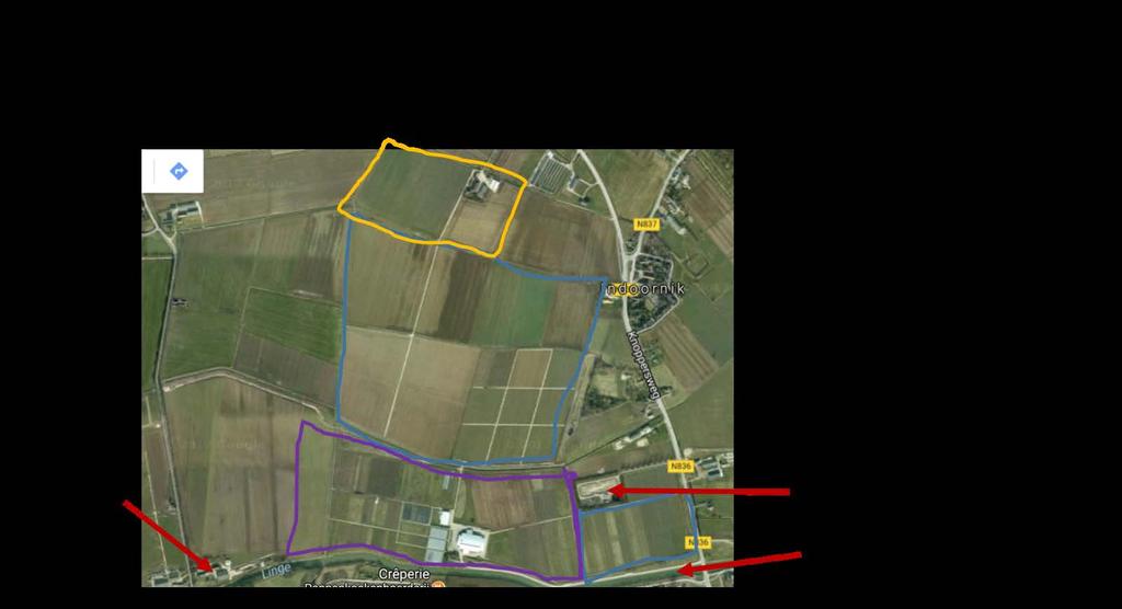 Figuur 1. Ligging Proeftuin Randwijk in de Overbetuwe aan de Linge. Bron: Google Earth. Figuur 2. Proeftuin Randwijk en omgeving.