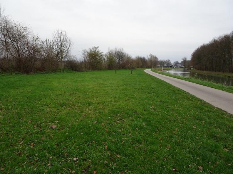 De noordzijde van de toegangsweg naar Proeftuin Randwijk wordt in de huidige situatie beheerd als een vorm van plantsoengras wat regelmatig in het groeiseizoen wordt gemaaid.