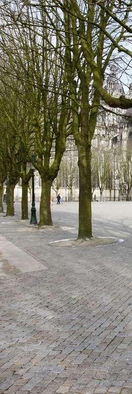 VERHARDING en straatmeubilair -toegankelijkheid / beloopbaarheid verbeteren door herstraten en betere fundering/voegen, rand om plein zonder hoogteverschil -loopstrips onder bomen voor optimale
