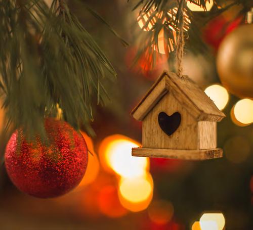 Feestelijke extra s Kerstboom in uw accommodatie Creëer een fantastische sfeer met een kerstboom in uw accommodatie! Bij aankomst staat er een kerstboom voor uw klaar.