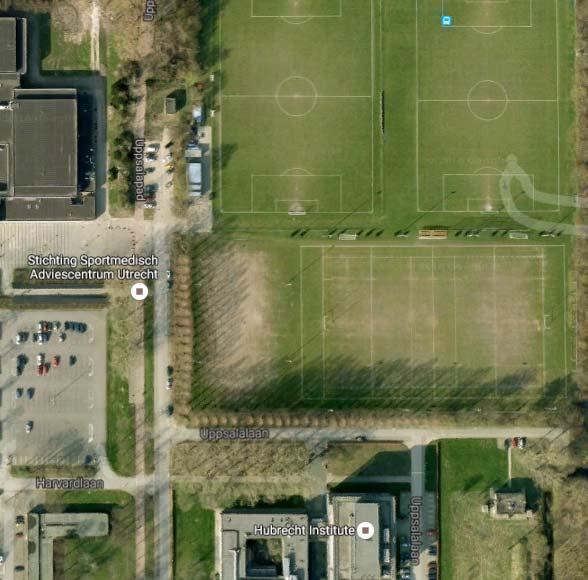 Figuur 3 Luchtfoto met omcirkeld de rijen bomen die twee zijden van de sportvelden flankeren, de huidige locatie van P&R De Uithof en het in aanbouw zijnde gebouw van Genmab De noord-zuid en