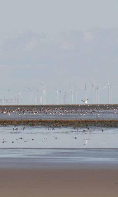 Werk aan de getijdenrivier Op de getijdenrivier is het getij sterk veranderd.