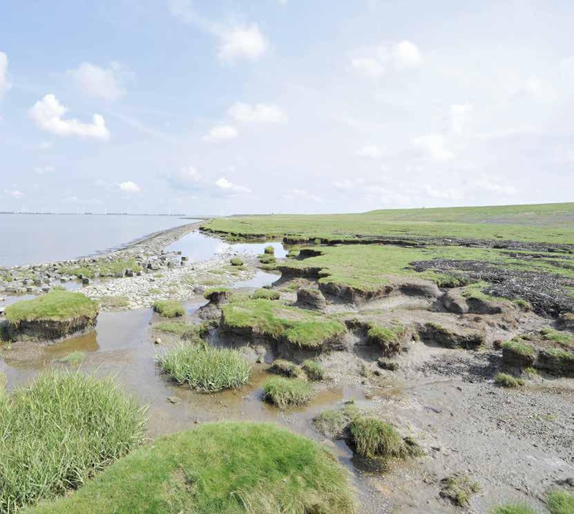 5. Monding vernauwen (ondieper maken) Verkend is hoe het getij in het estuarium verandert als het mondingsgebied deels wordt