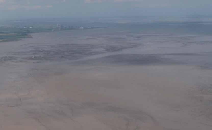 Daarnaast is meer kennis nodig over de slibvangfunctie van de Dollard nu en in het verleden (zie spoor 3).