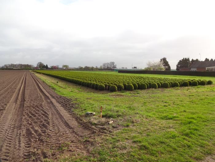 C2: Aanzicht vanaf erf en Onkelweg naar nieuwe glasopstand en bestaande bebouwing Deze zijde is met veel groen al een mooie inkleding van de bestaande bebouwing en de nieuwe kas.