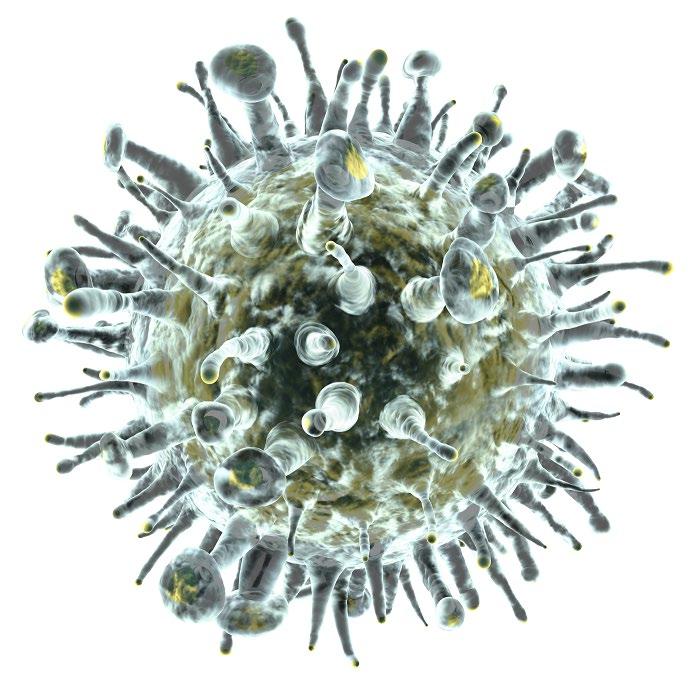 Een geïsoleerd griepvirus 6.2.3 Weefselleer De weefselleer of histologie onderzoekt de opbouw en de bijzondere functies van weefsels.