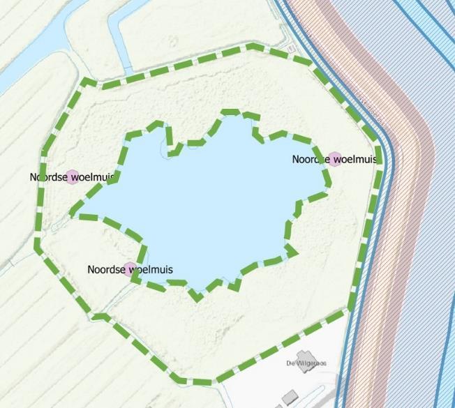 101 van 164 Module Primaire leefgebied (binnen de groene onderbroken lijn) en ruimtebeslag door de Versterking (zwart = permanent, blauw = werkstroken) Effect van ruimtebeslag (aantal territoria is