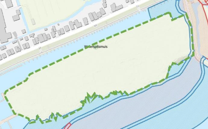 Deze omvang heeft de potentie voor gemiddeld 215 / 452 territoria van noordse woelmuizen en 17-344 territoria van waterspitsmuizen.