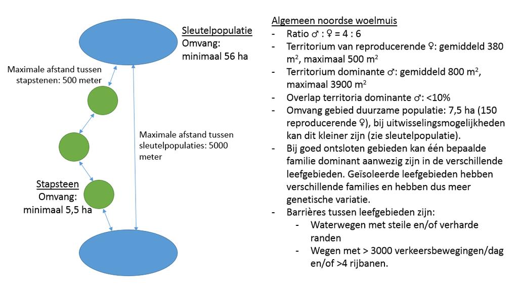 97 van 164 Afbeelding 24: Schematische weergave van het mogelijke voorkomen van de noordse woelmuis en concurrenten (uit RVO, 2014b).