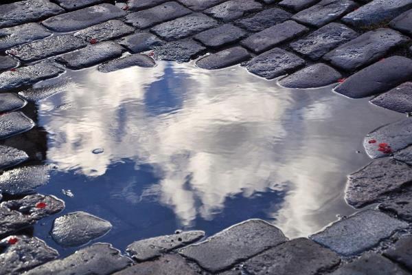 Water reflecties Regen vormt plassen, en plassen zijn bij uitstek geschikt om een mooie reflectiefoto te maken.
