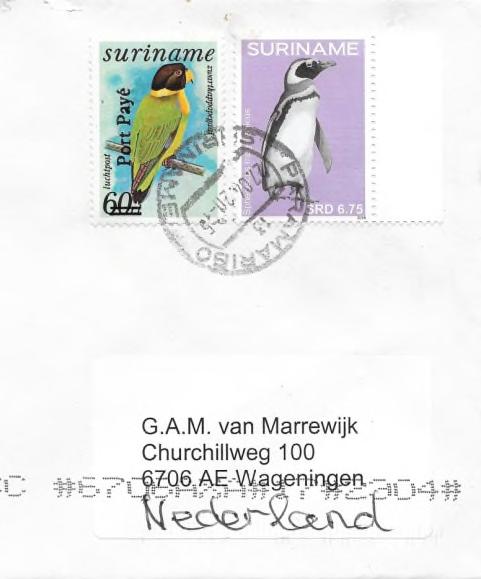 Mijn twee aangetekende stukken stuurde ik bewust in grootformaat enveloppen om het gevaar van overplakking van de postzegels met