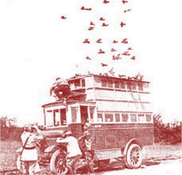 Een mobiele duivenhok in de oorlog. In de eerste wereldoorlog 1914-1918 werden zelfs postduiven gebruikt die voorzien waren van een camera en boven het front vlogen om foto s te maken.