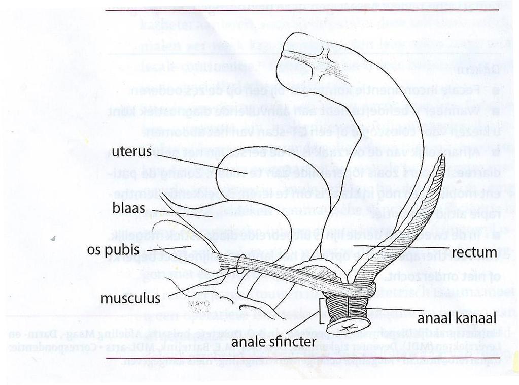 Fecale Incontinentie