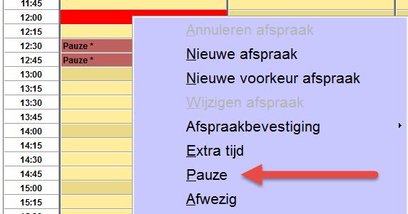 automatisch zijn ingevuld in het afsprakenboek (Pauze *).