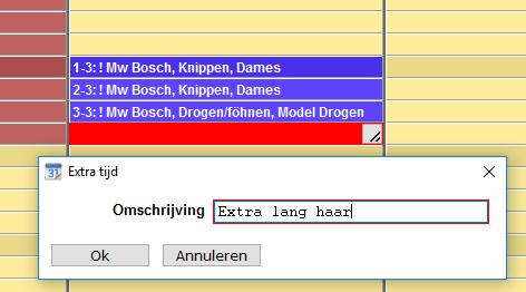 Opmerking bij extra tijd Op verzoek van SalonNet gebruikers is bij