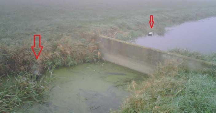 Project: Verbetering peilscheiding polder abessinië (reeuwijk) Nr: 9 De dam wordt