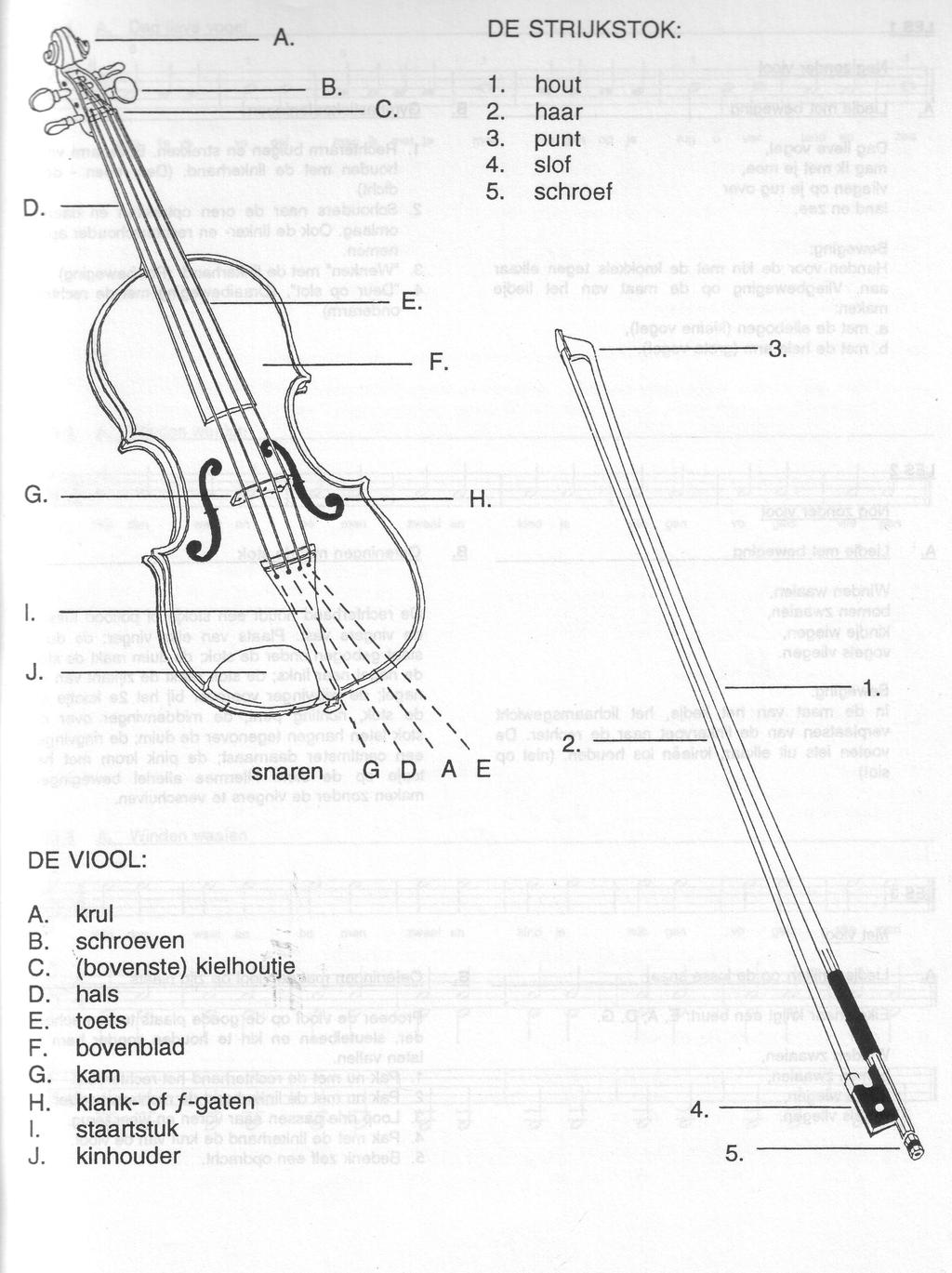 Onderdelen van de viool