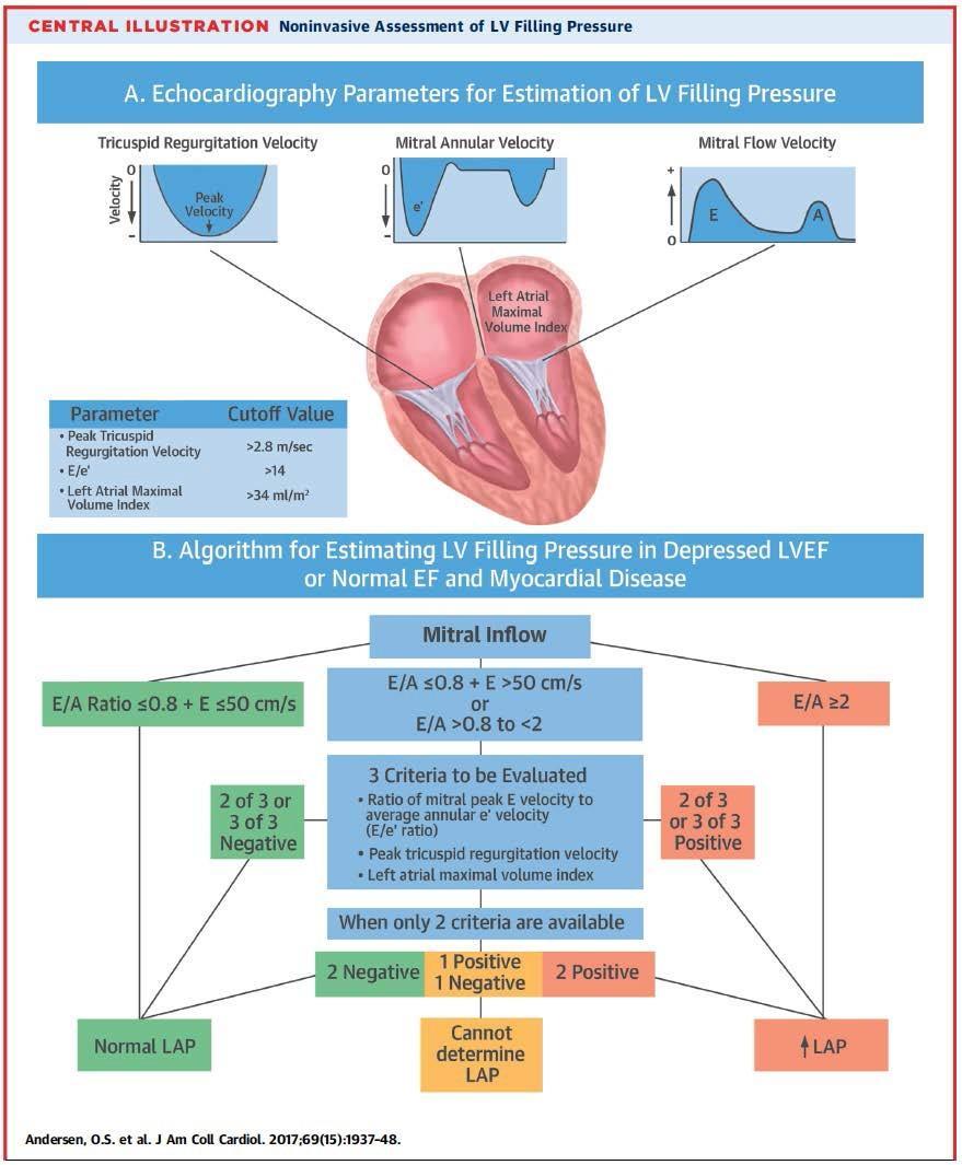 Nagueh, J Am Soc Echocardiogr 2016 Andersen, JACC 2017 LV diastolische dysfunctie (ASE/EACVI) E/A 2.0 of E/A = 0.8-2.