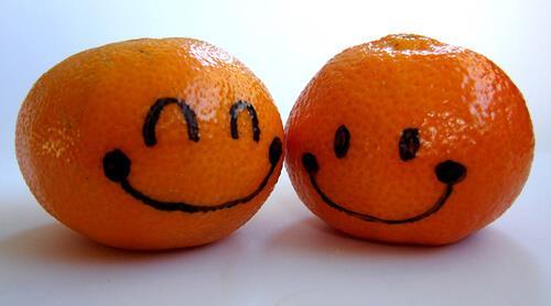 17 & 18 november Hallo, wij zijn van Chiro SUS en wij verkopen super lekkere mandarijntjes!