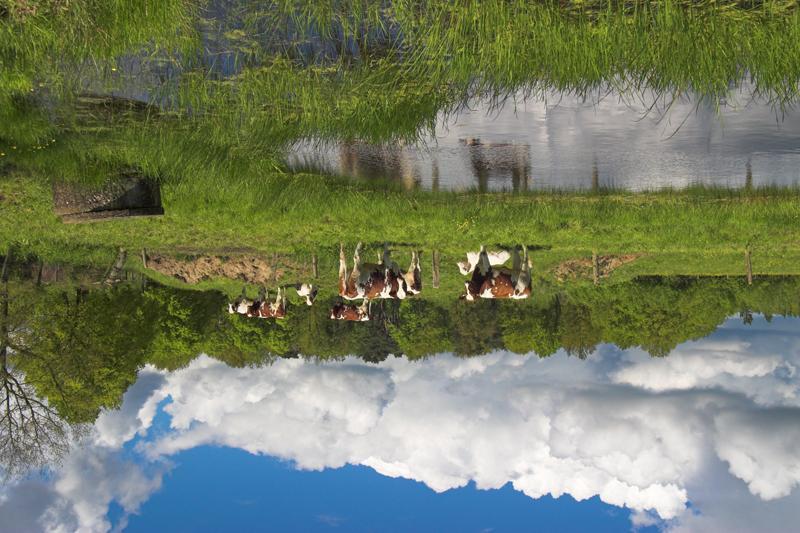 Ambitiekaart ecologische hoofdstructuur, spelregels voor de