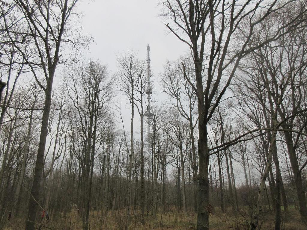 De 200 meter hoge radiozendmast voor FM-frequenties. Rondje Wieringerrandroute (10,5 km) Honden toegestaan. Horeca in Den Oever. Grotendeels onverhard.