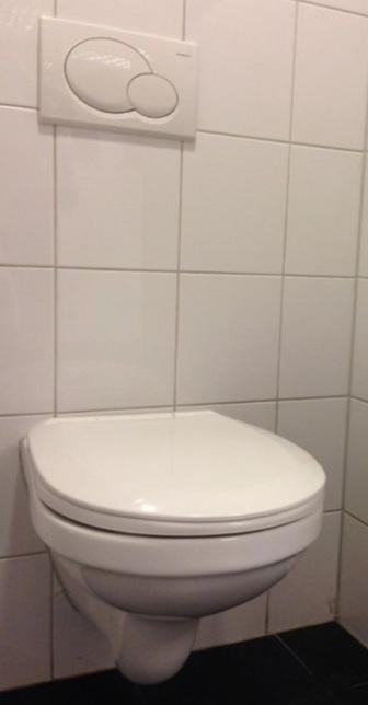 Toilet vervangen Extra verduurzaming