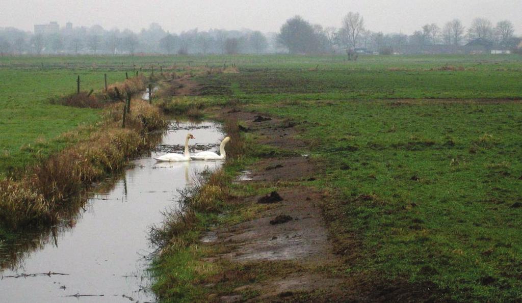 Voorbeeld net aangelegde natuurvriendelijke oever in de Eempolder (Ilco van Woersem) Aanleg natuurvriendelijke oevers Object Actie Verantwoordelijk Financiering Aanleg Natuurvriendelijke oever (US 5.