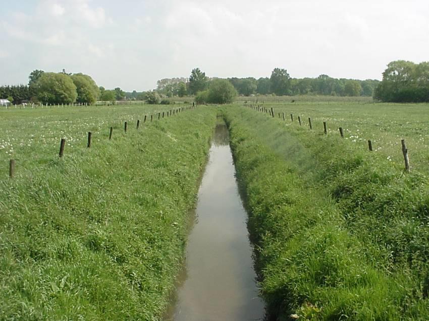 Case Begijnebeek Overstromingen in