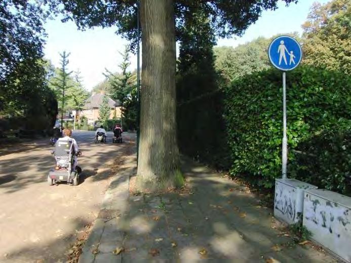 34 Boom verspert de doorgang op het trottoir.