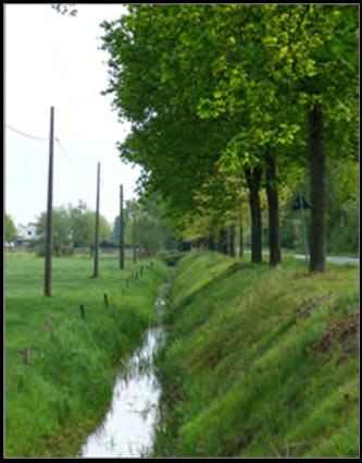 Drainage en ontginning Geels Gebroekt (1958-2014) Natuurlijke Antropogene