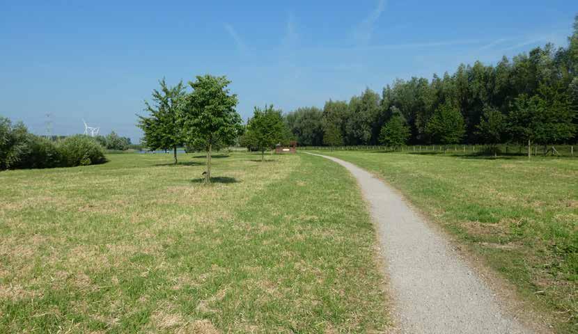 Onder andere door ecologische kwaliteitsimpulsen door de verondieping en de versterking van de beleving van de natuur door recreatieve paden.