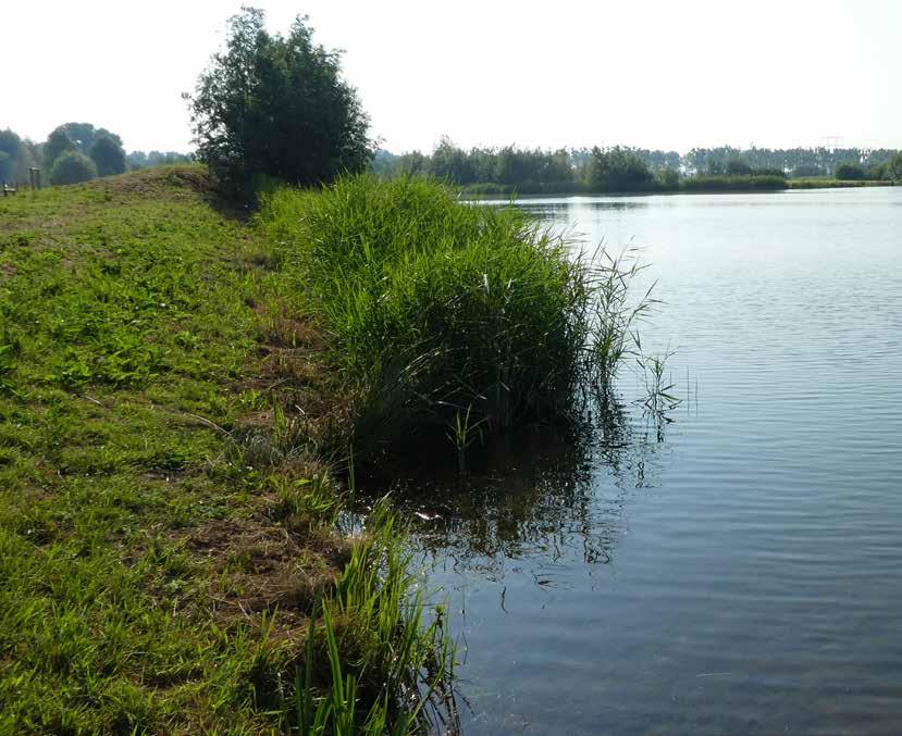 HOOFDSTUK TITEL Planning Voor de herontwikkeling van de plas zijn diverse vergunningen nodig.