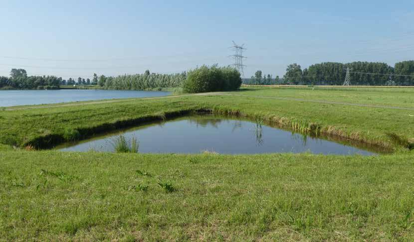 De planning is om eind dit jaar de definitieve vergunningen in te dienen bij gemeente Geertruidenberg, provincie Noord-Brabant en het waterschap Brabantse