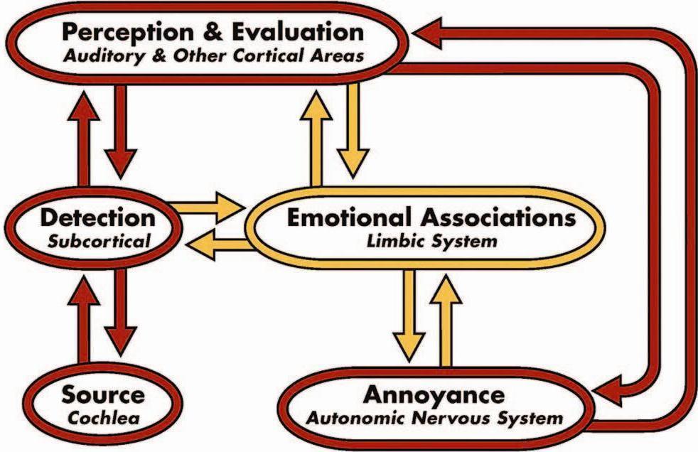 Emotioneel systeem en tinnitus The amygdala is responsible for