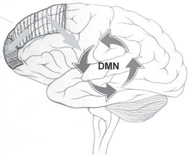 Default mode network Precuneus en mediale