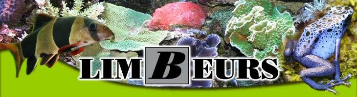 BBAT-LIMBURG de federatie van aquarium- en terrariumklubs uit Limburg organiseert op zondag 3 juli 2011. de 22ste alomgekende en druk bezochte LIMBEURS.