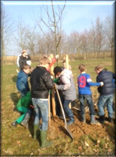 We hebben bomen geplant in de Herkenradergrubbe.