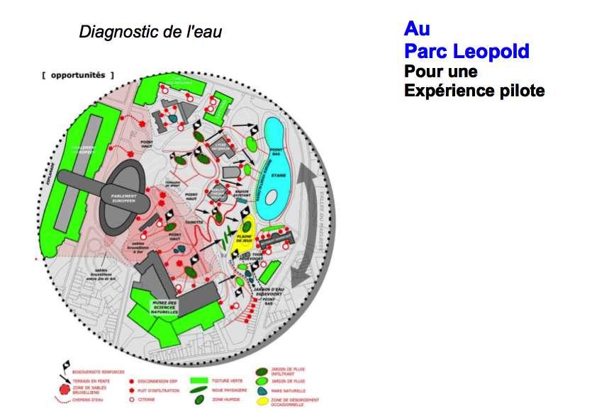 Diagnose van het water In het Leopoldpark Voor een pilootproject Labo ID 4 december 2014