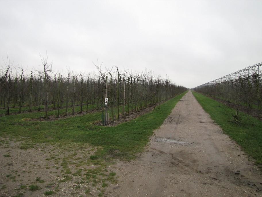 Bijlage 1 Foto-impressie plangebied Figuur 2.